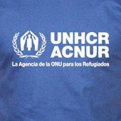 imgboletin_congo