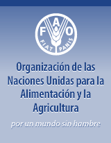 logo_FAO