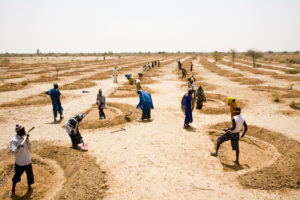 Fatoumata_Diabate_Oxfam_2012._Cash-for-work_and_DRR_in_Niger