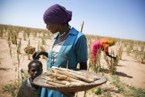 Zam Zam Sudan. UN PhotoOlivier Chassot